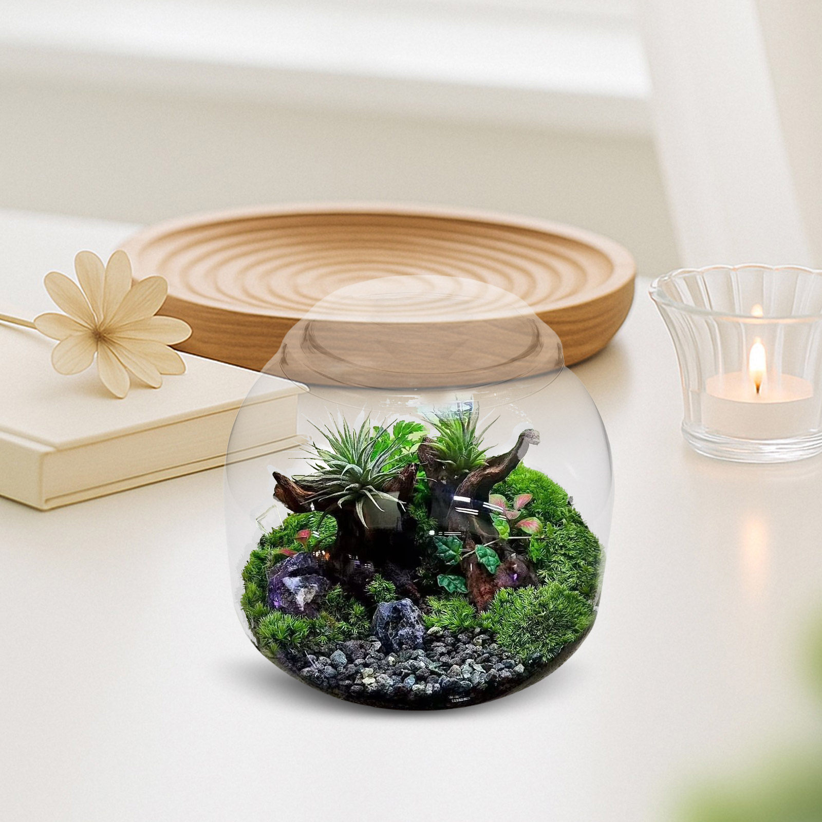 Terrarium Glass Bottle - Szklany słoik-terarium z pokrywką, przezroczysta butelka