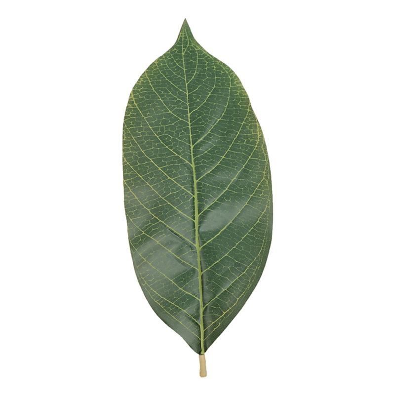 Artificial Hanging Plants - Sztuczne zielone liście magnolii opakowanie 50