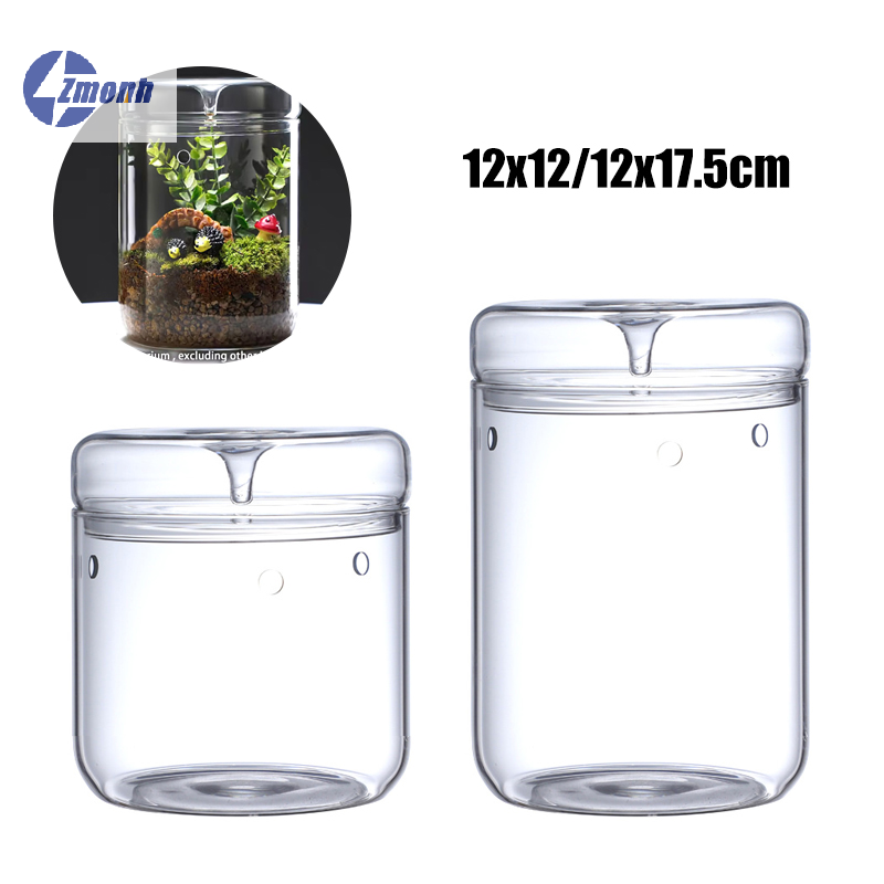 Terrarium Glass Bottle - Nowość! Mikro Krajobraz w Szklanej Butelce