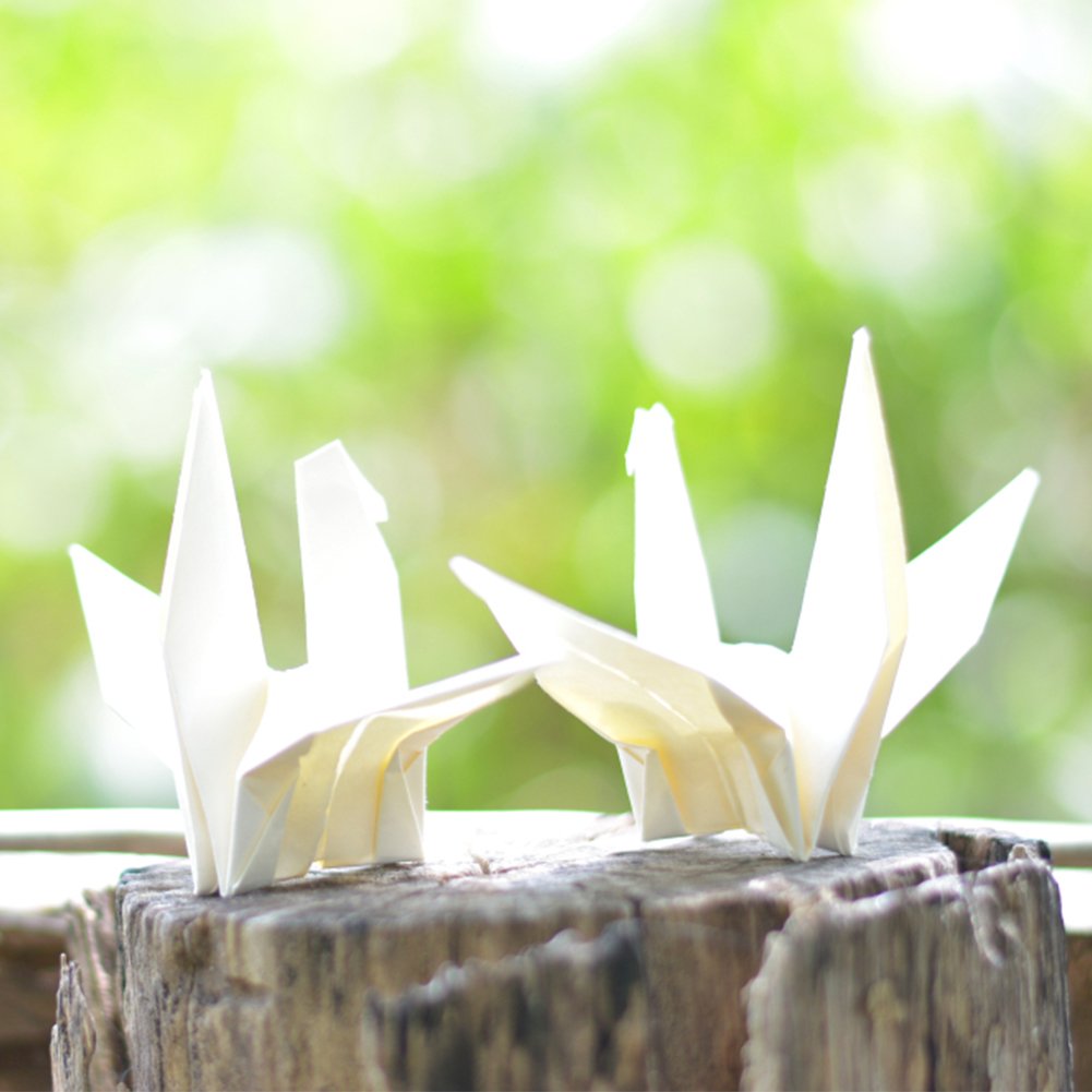 Home Decor Scrap - 50 sztuk biały składany papier Origami