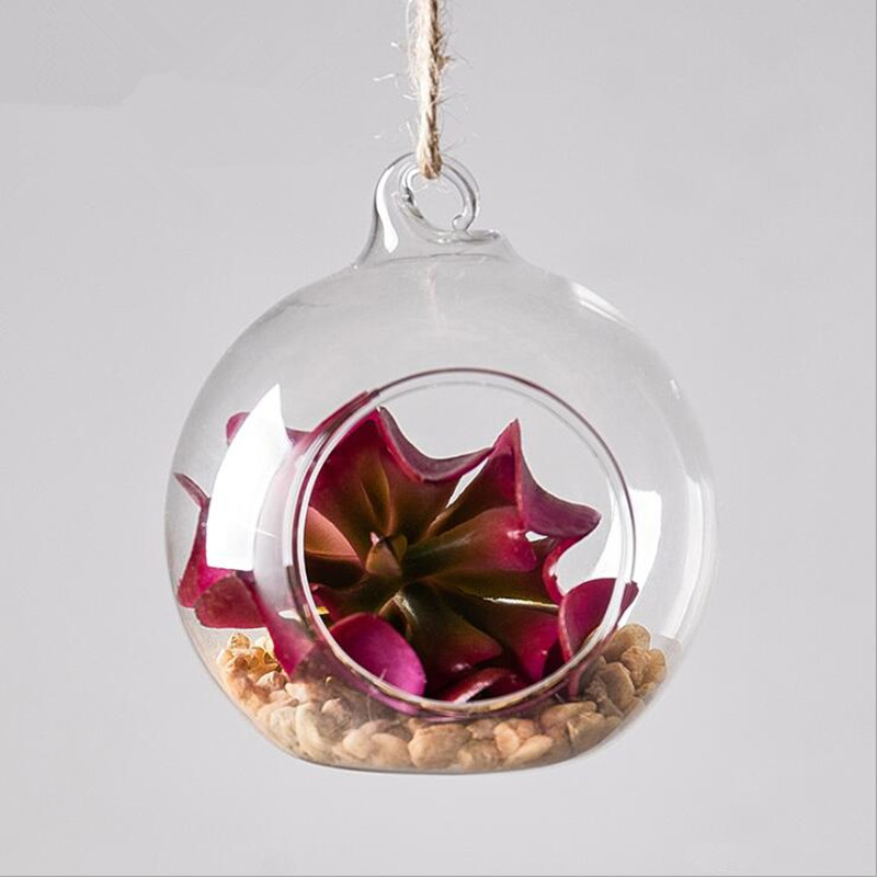 Terrarium Glass Bottle - Średnica = 10 cm Średni rozmiar