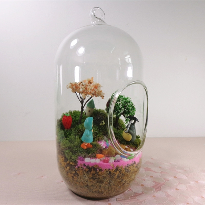 2 szt./opak. 10*20cm Duży Szkl – Terrarium Glass Bottle recenzja i cena