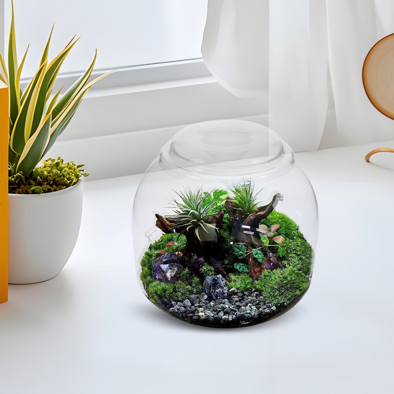 Szklany słoik-terarium z pokry – Terrarium Glass Bottle recenzja i cena