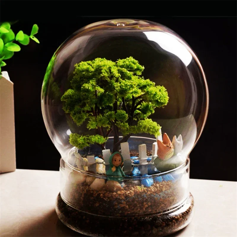 Nowa szklana butelka 2w1 do te – Terrarium Glass Bottle recenzja i cena