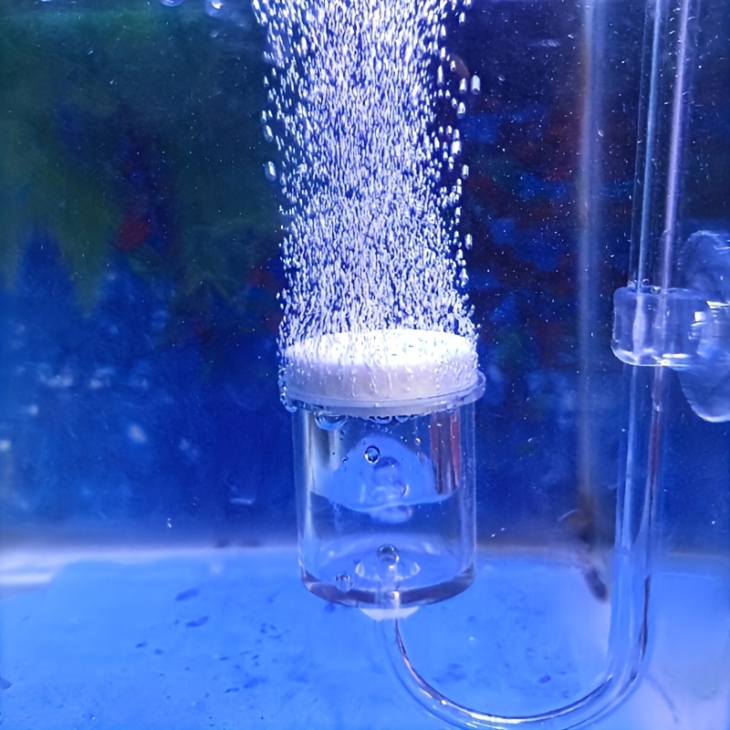 Szklany atomizer CO2 do akwari – Terrarium Glass Bottle recenzja i cena