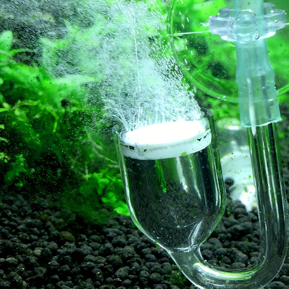 Szklany atomizer CO2 do akwari – Terrarium Glass Bottle recenzja i cena