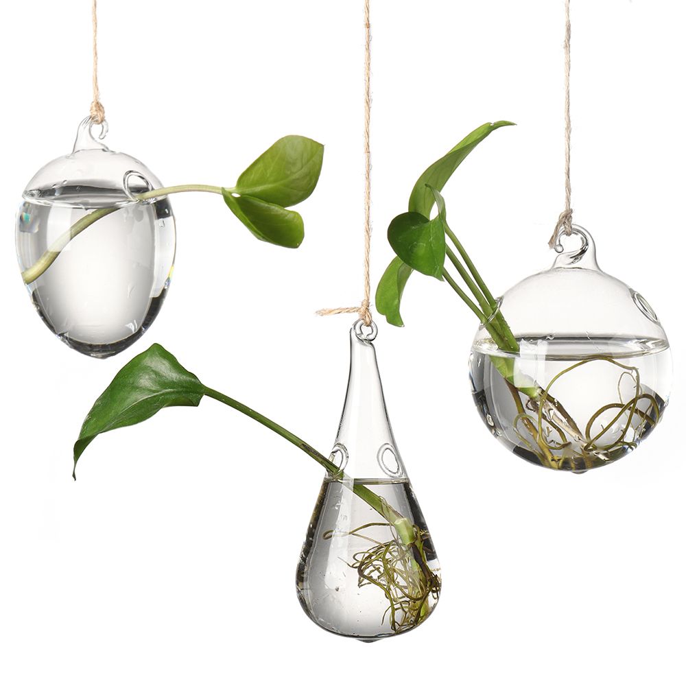 Kreatywna szklana wisząca wazo – Terrarium Glass Bottle recenzja i cena