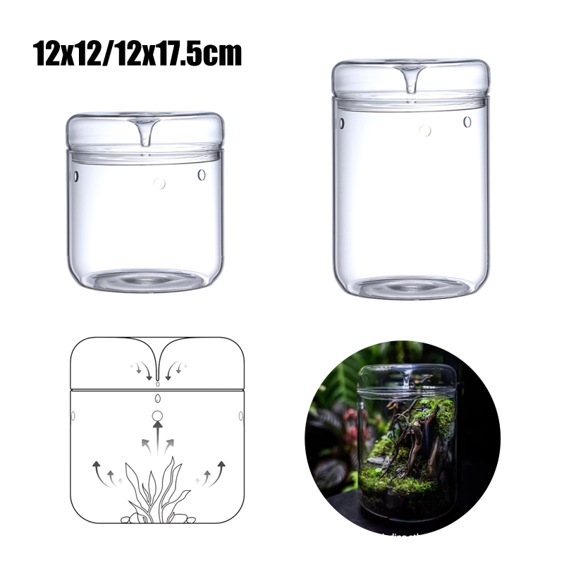 Nowość! Mikro Krajobraz w Szkl – Terrarium Glass Bottle recenzja i cena