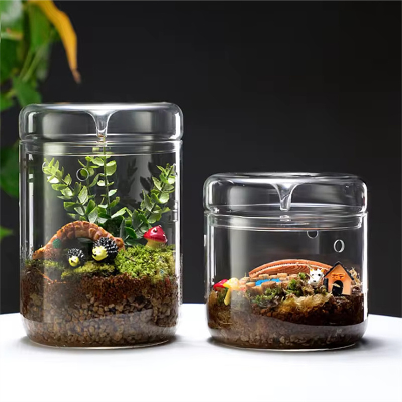 Nowość! Mikro Krajobraz w Szkl – Terrarium Glass Bottle recenzja i cena