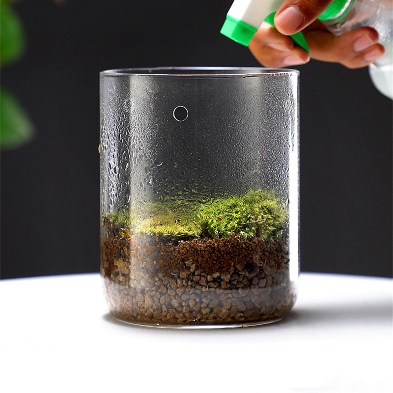 Nowość! Mikro Krajobraz w Szkl – Terrarium Glass Bottle recenzja i cena