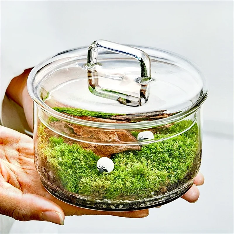 Mikro Krajobraz Mech Rośliny S – Terrarium Glass Bottle recenzja i cena