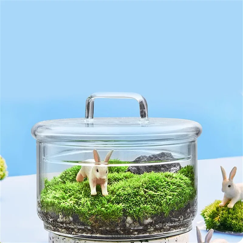 Mikro Krajobraz Mech Rośliny S – Terrarium Glass Bottle recenzja i cena