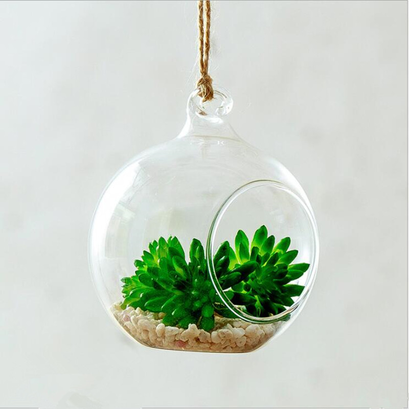 Średnica = 10 cm Średni rozmia – Terrarium Glass Bottle recenzja i cena