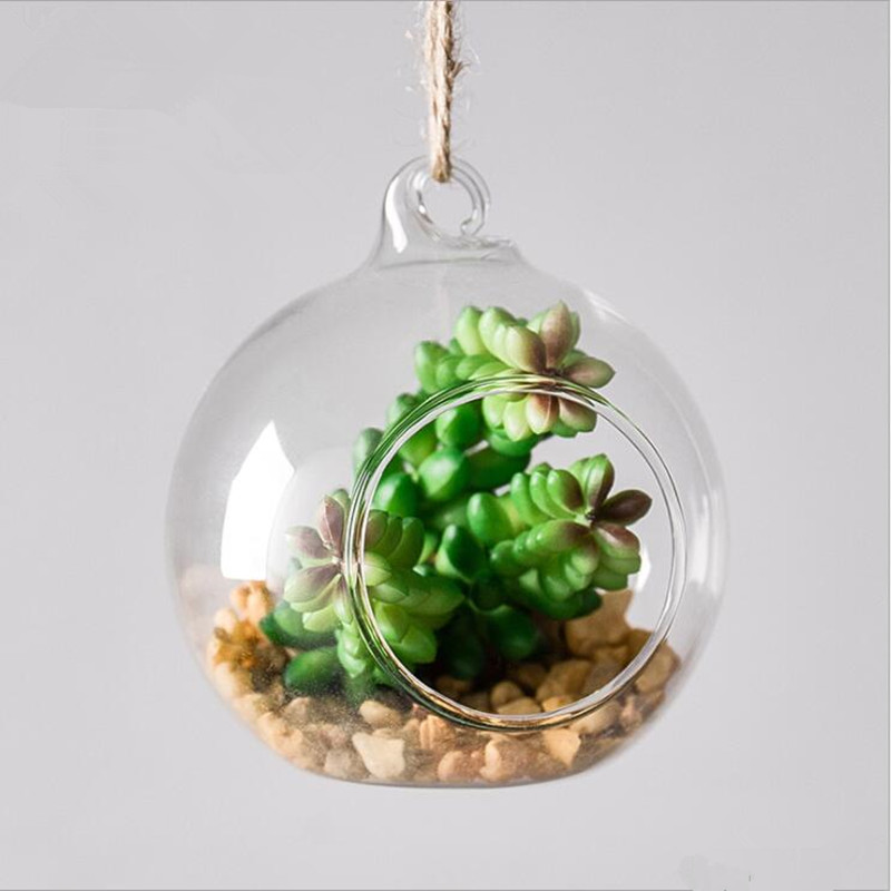 Średnica = 10 cm Średni rozmia – Terrarium Glass Bottle recenzja i cena