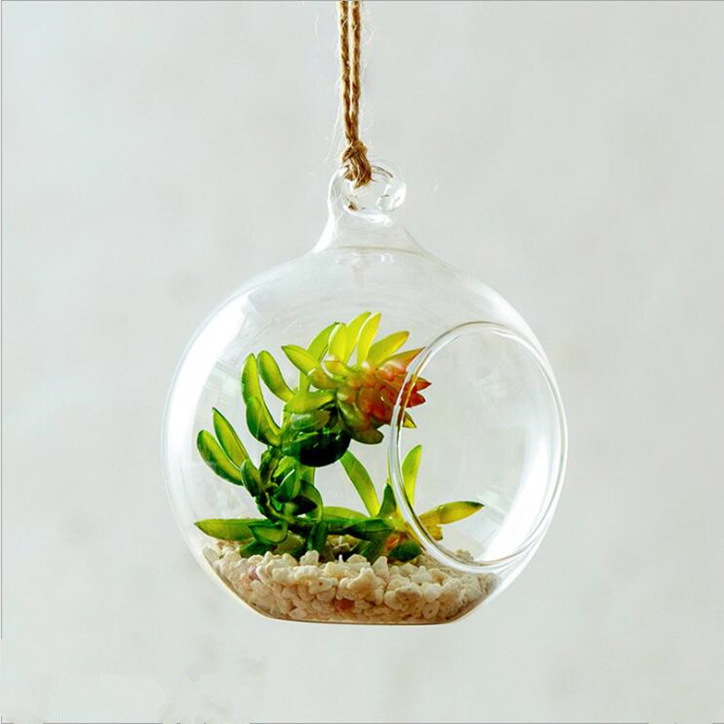 Średnica = 10 cm Średni rozmia – Terrarium Glass Bottle recenzja i cena