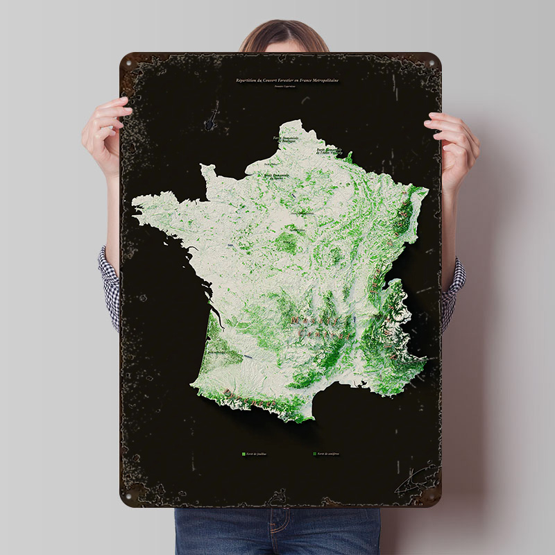 Massifs Forestiers Fran? Plaka – Home Decor Ai recenzja i cena