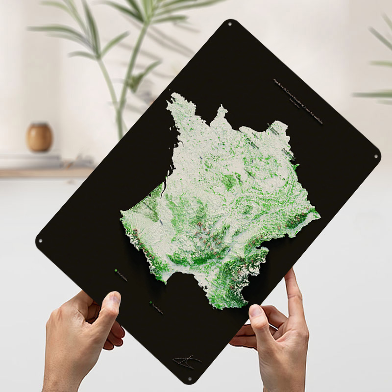 Massifs Forestiers Fran? Plaka – Home Decor Ai recenzja i cena